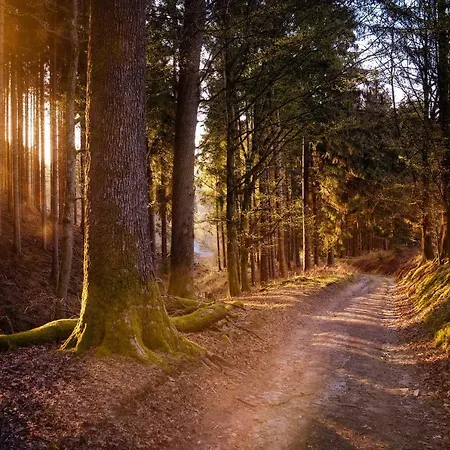 Am Waldweg Apartamento *